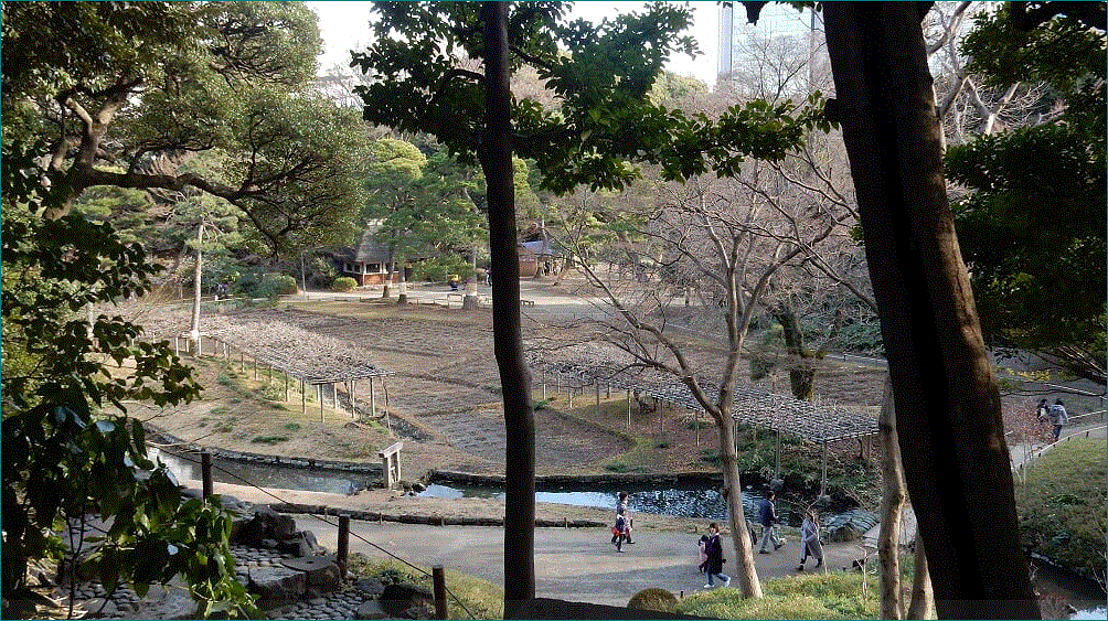 f0231709_11023436.gif