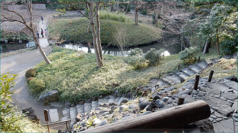 f0231709_11030945.gif