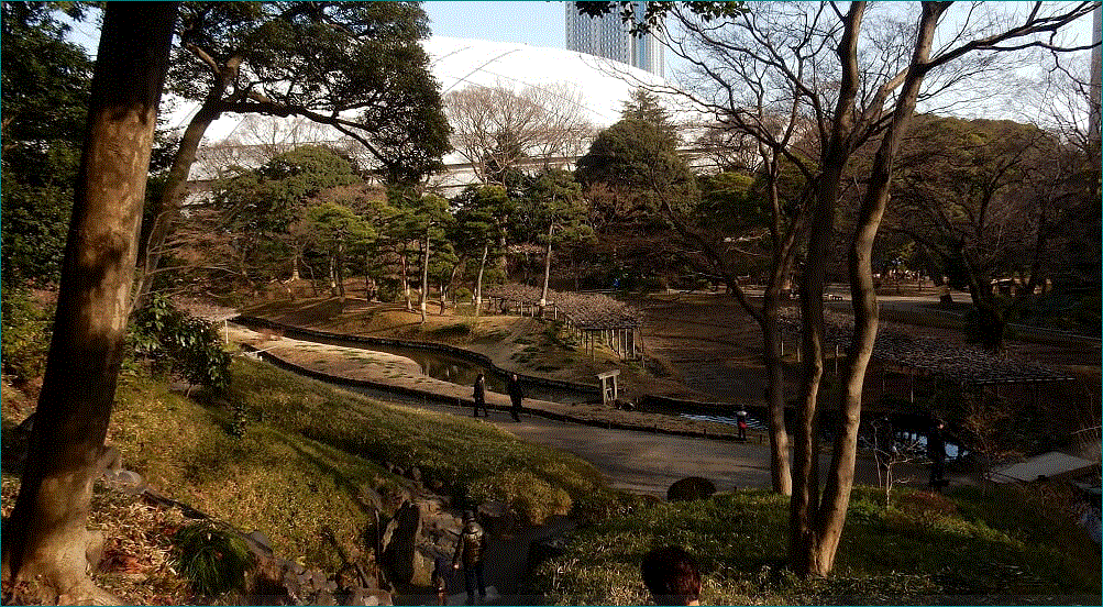 f0231709_11034475.gif