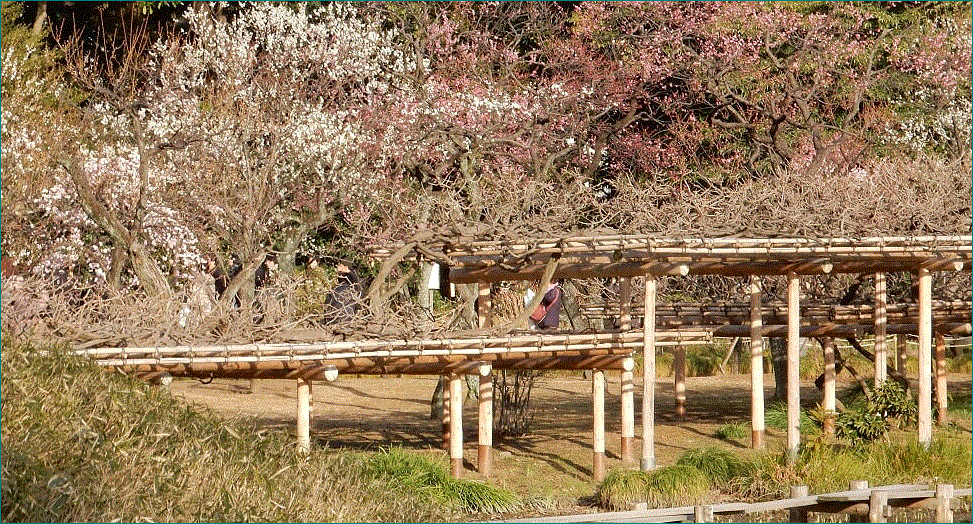 f0231709_11051154.gif