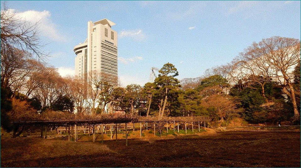 f0231709_11092920.gif