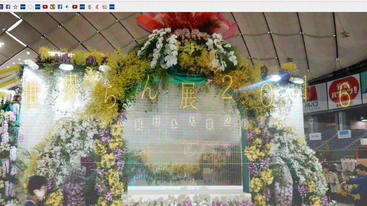 f0231709_17115078.gif