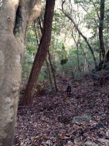 c0324418_16253614.jpeg