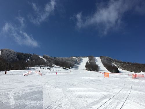 c0114121_016731.jpg