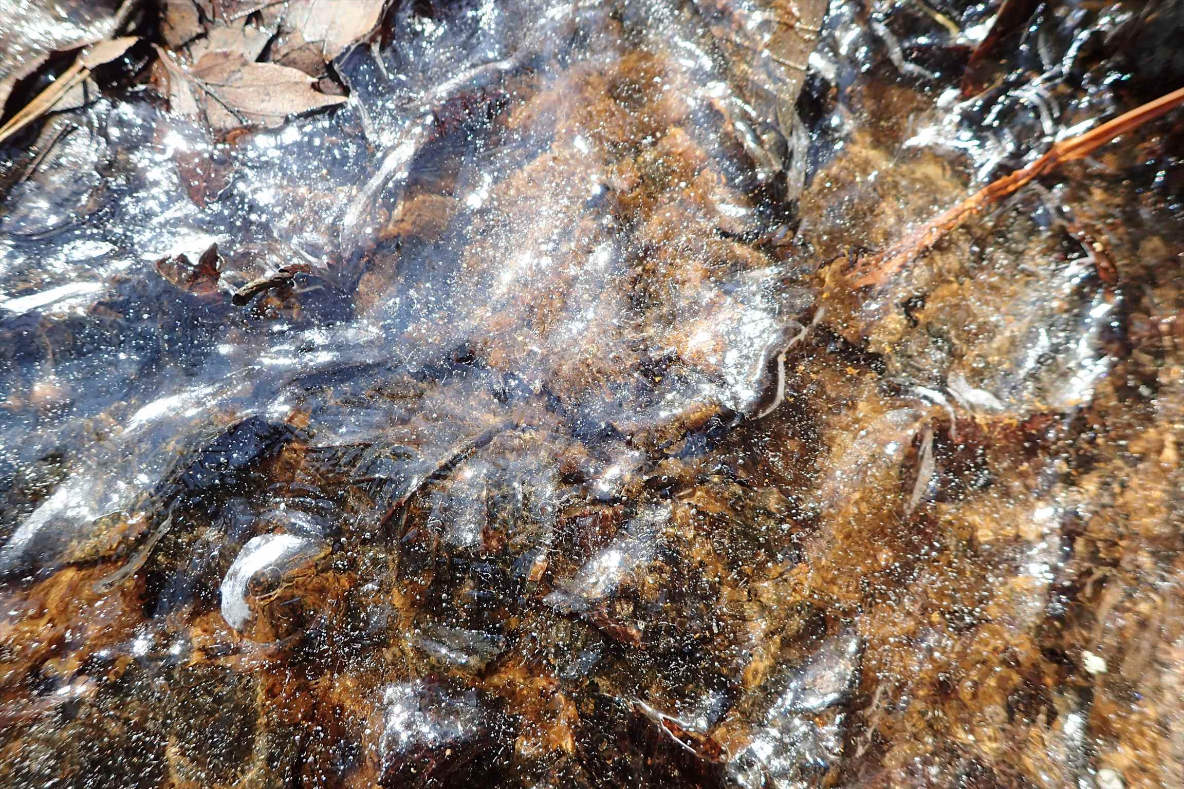 f0348933_22555541.jpg