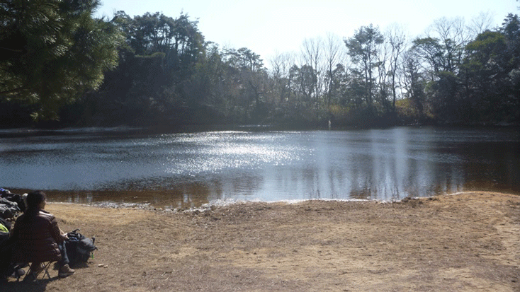 e0371039_17271427.gif
