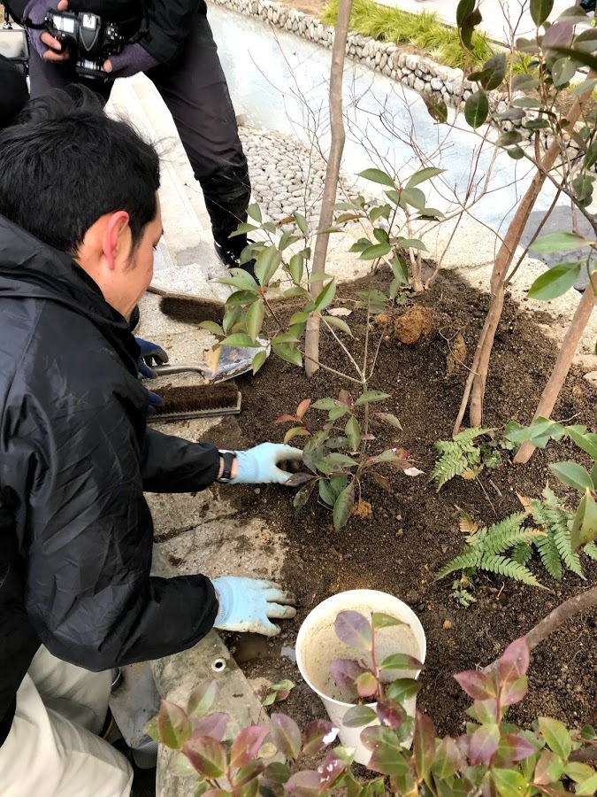 「えきまえ里山（仮称）」に参加してきました・２_c0360042_01055680.jpg