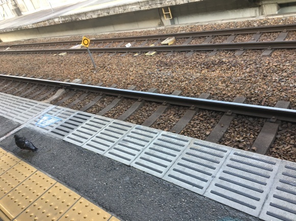 d0224253_08060219.jpeg