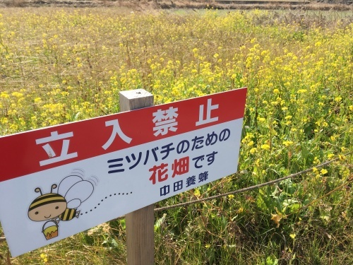 a0152454_11005256.jpeg