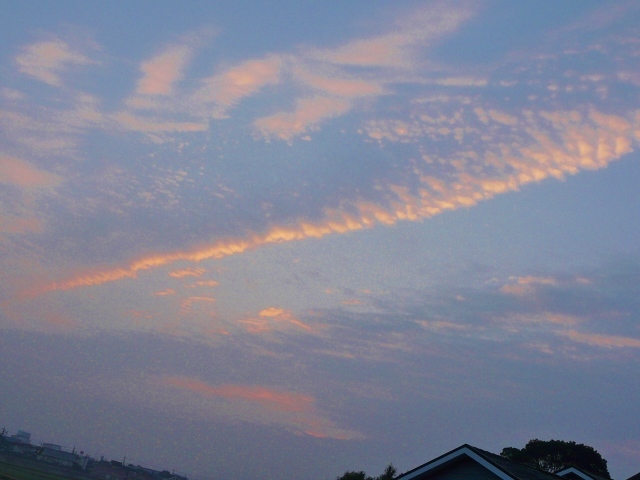 b0248954_08313621.jpg