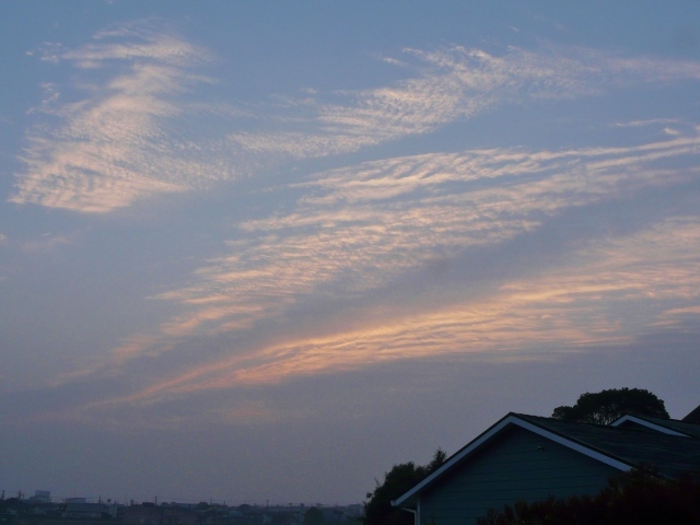 b0248954_08320432.jpg
