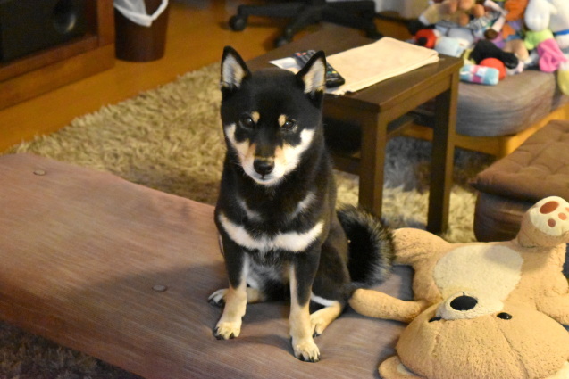 f0363156_17412365.jpg