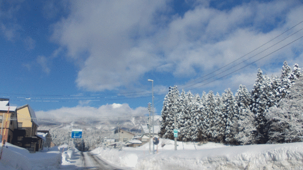b0129758_10134162.gif