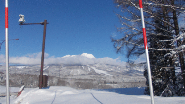 b0129758_10134436.gif