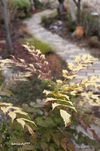 b0246758_13011415.jpg