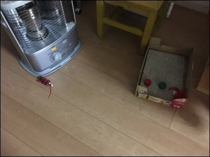 b0300759_10204216.jpeg