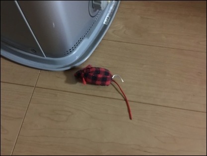 b0300759_10204996.jpeg