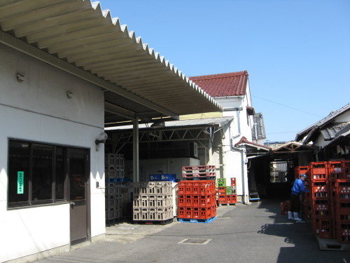 東海道石部宿から湖南三山_b0153663_13395160.jpg
