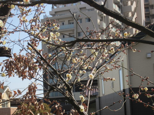 f0256164_11004778.jpg