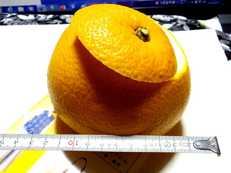 f0214467_11545176.jpg