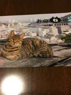 f0363168_06084076.png