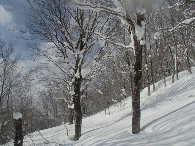 2018.2.21 加美町の鬢櫛（びんぐし）山に_a0344771_21033115.jpg