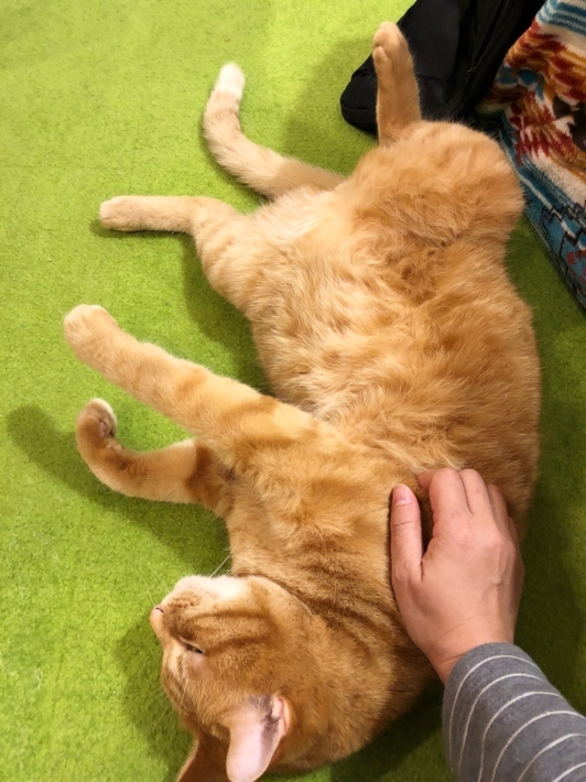 e0056272_22203915.jpeg