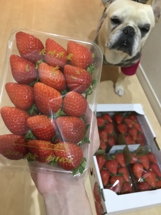 d0048577_11313349.jpeg