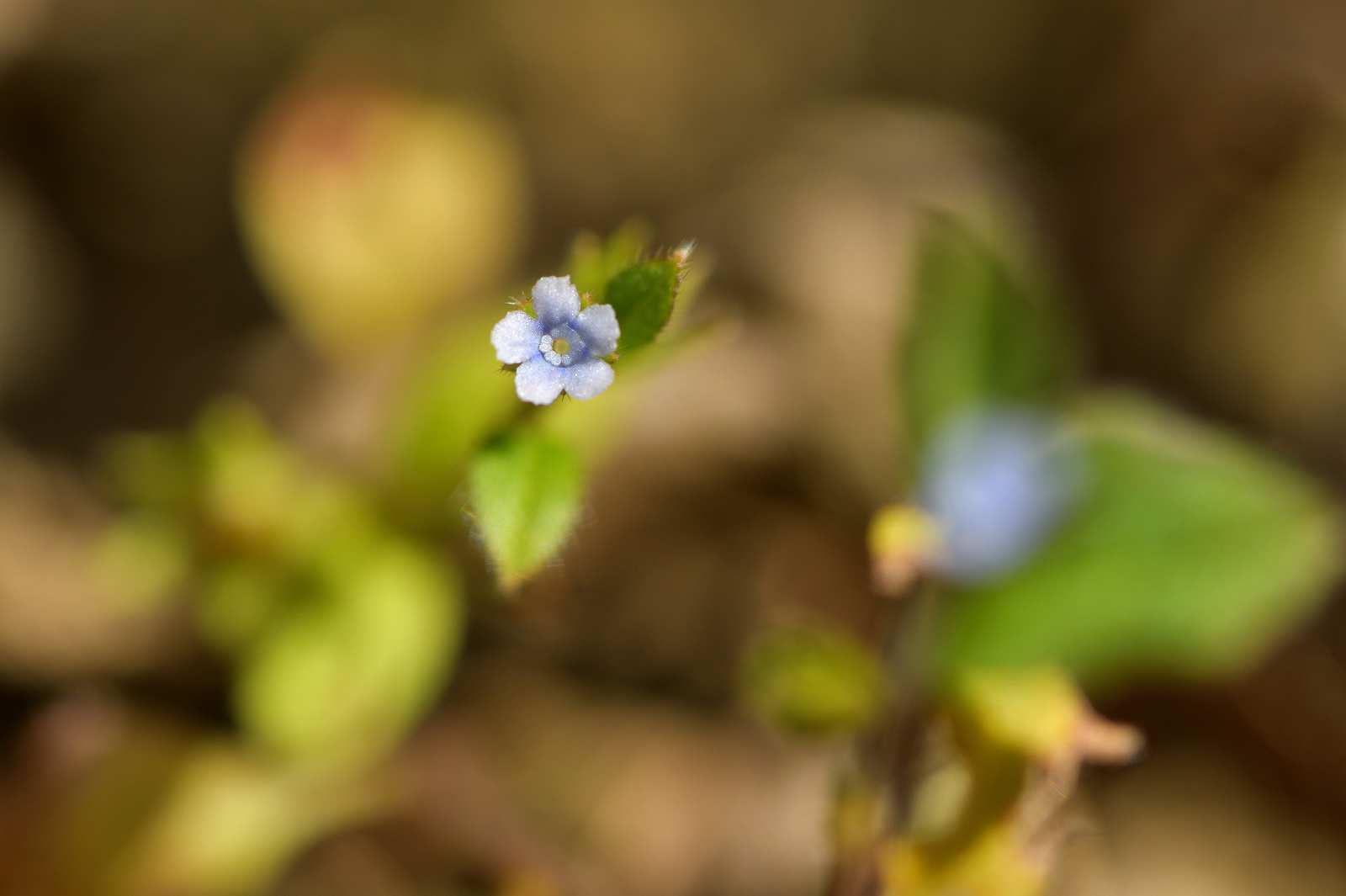 d0328977_11024013.jpg