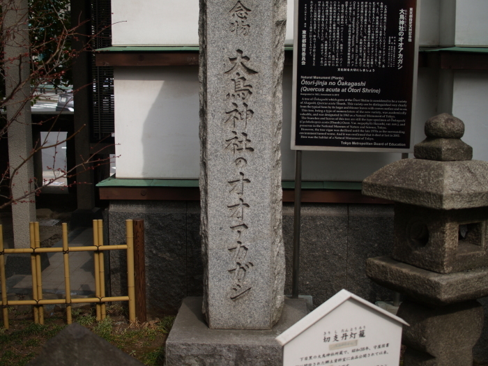 目黒散策　目黒川　大鳥神社_a0085679_11240156.jpg