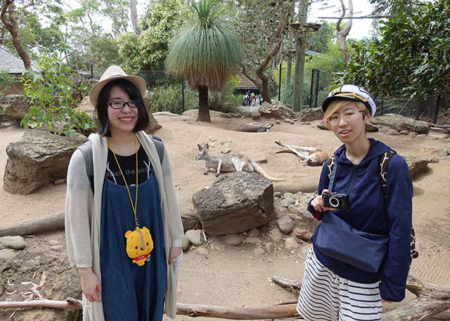 タロンガ動物園とマンリー_b0108779_21260938.jpg