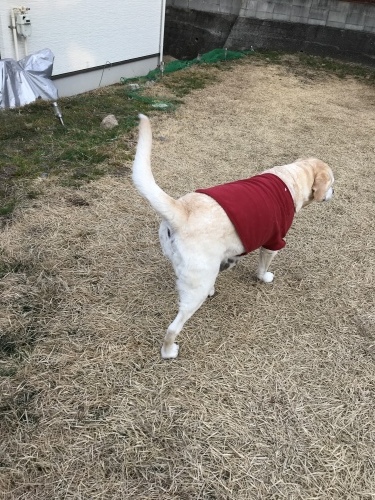 f0315081_23120812.jpeg