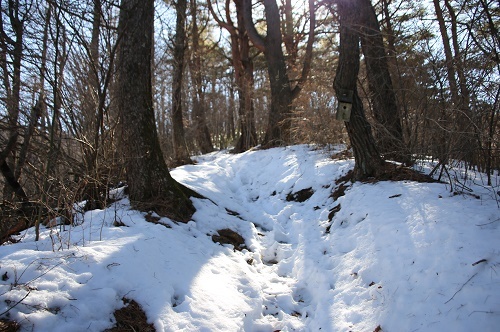a0158702_08132421.jpg