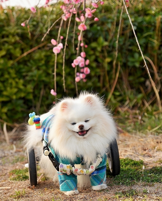 来年も一緒に写真を撮ろう_d0360206_00314407.jpg