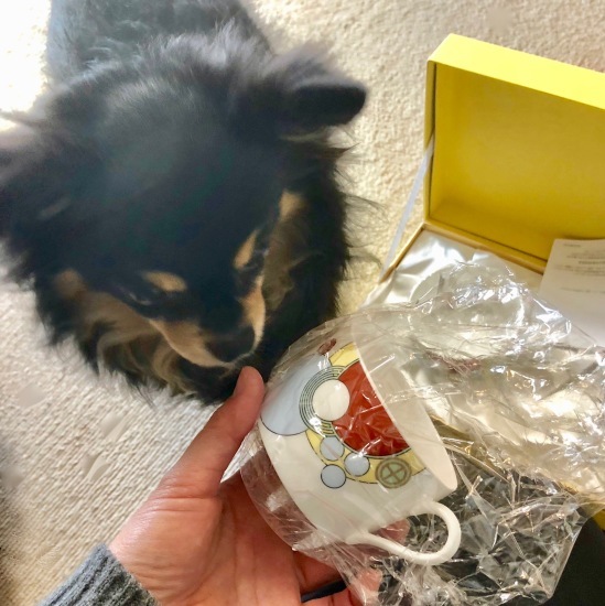 届いた!_f0197215_15444586.jpg