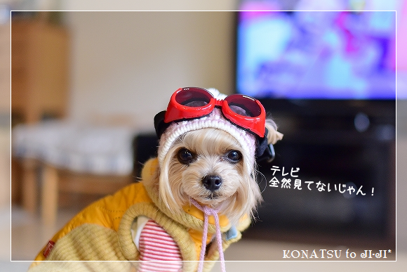 d0179828_00284836.png