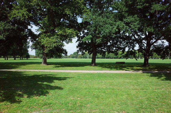 a0287336_20211320.jpg