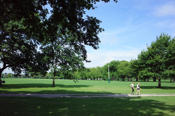 a0287336_2022368.jpg