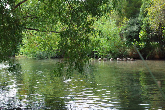a0287336_20312674.jpg