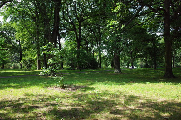 a0287336_20315328.jpg