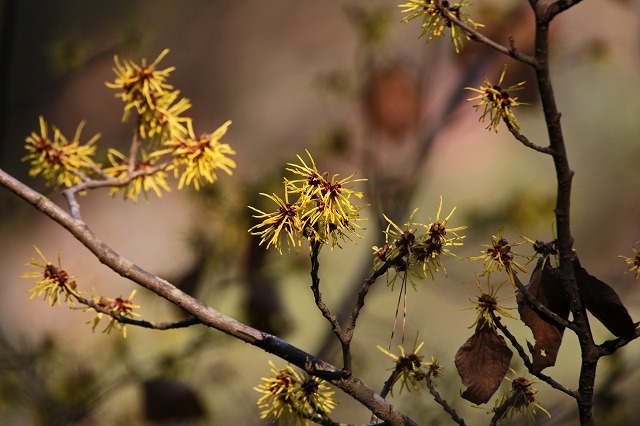 a0242438_20421006.jpg
