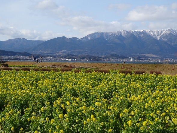 b0299042_11455473.jpg