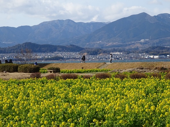 b0299042_11461941.jpg