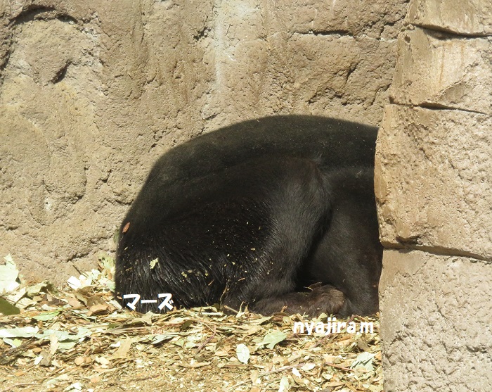 f0002743_18422034.jpg