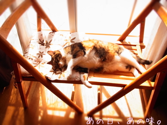 a0305046_09124217.jpg
