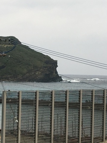 b0158746_10411021.jpeg
