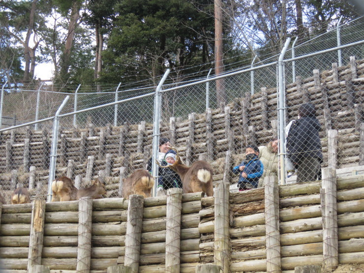 雲州平田愛宕山公園_f0214649_05450112.jpg