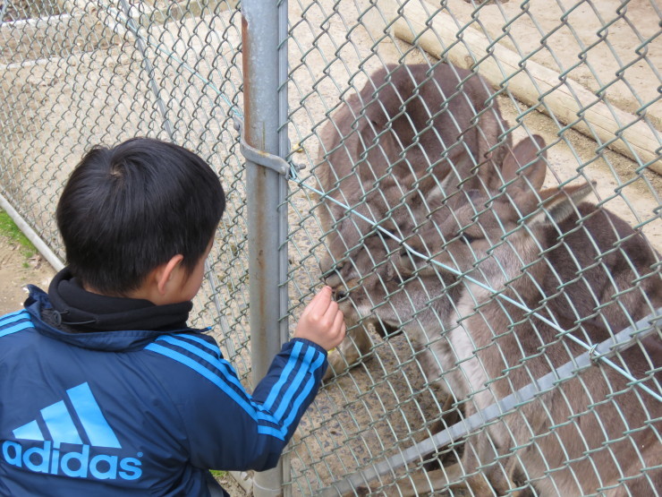 雲州平田愛宕山公園_f0214649_05471462.jpg