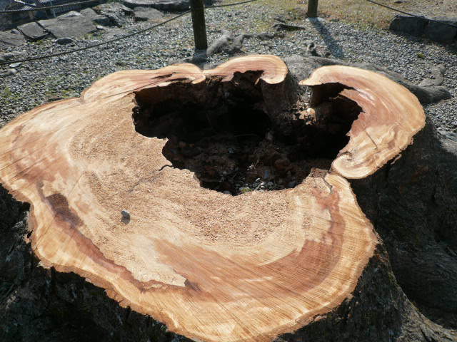 c0043055_16023957.jpg