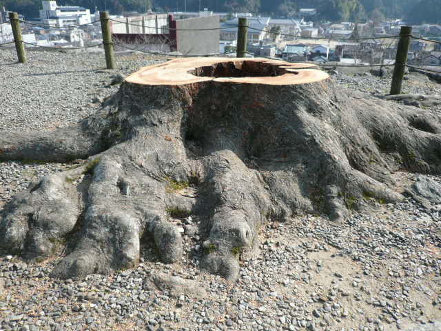 c0043055_16024974.jpg